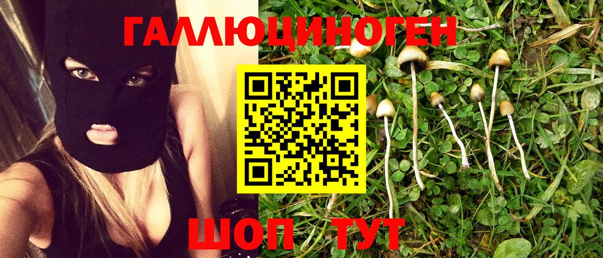 Южно-Сахалинск  Псилоцибиновые грибы MAGIC MUSHROOMS  купить  сайты  Вход с VPN 
